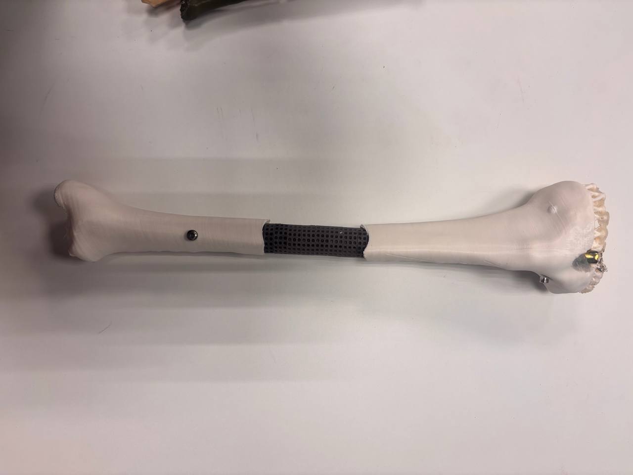 Учёные КГУ и Центра Илизарова создали модульные имплантаты, не имеющие аналогов в мире