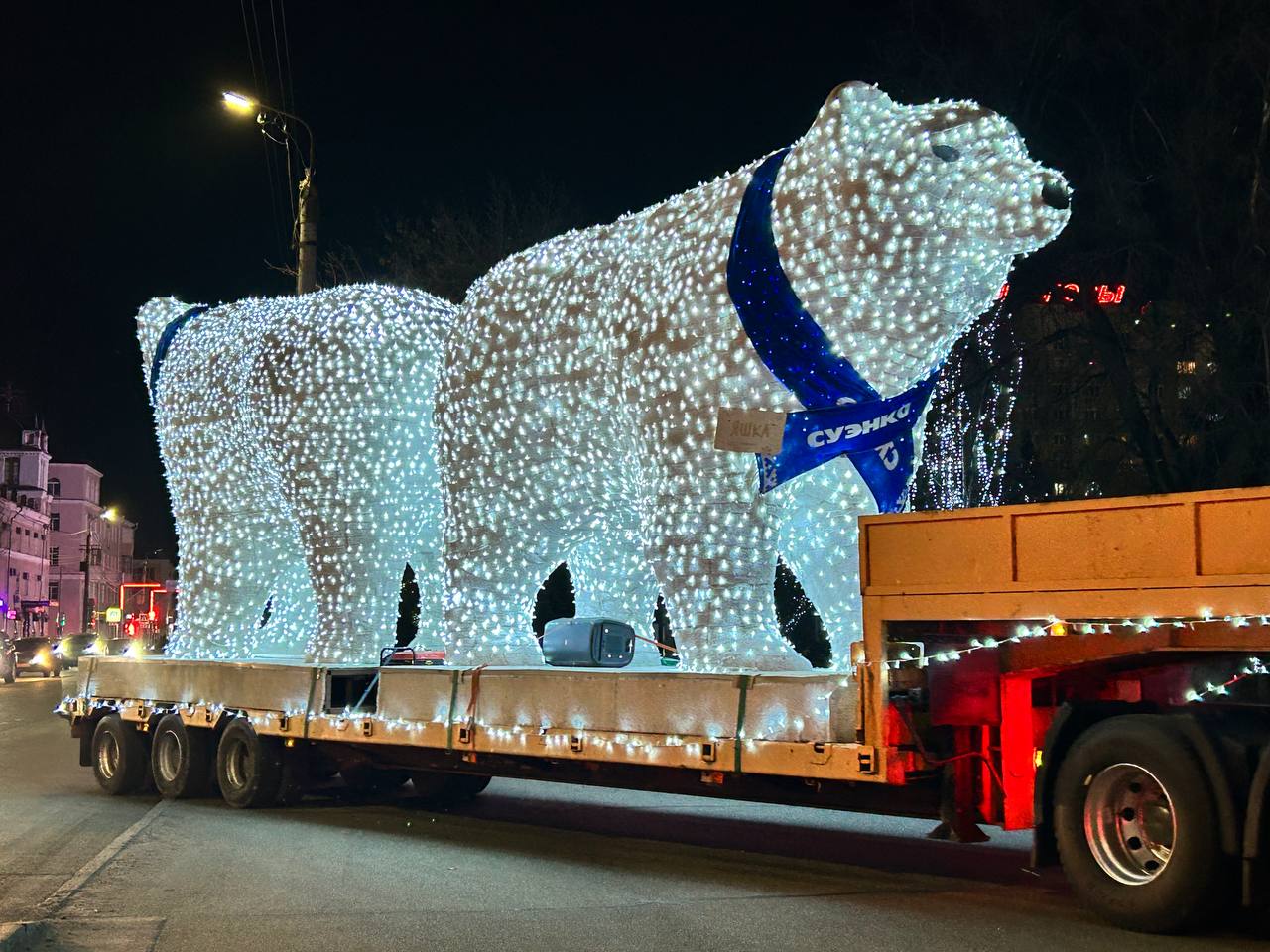 Сегодня в Курган прибыли белые медведи СУЭНКО