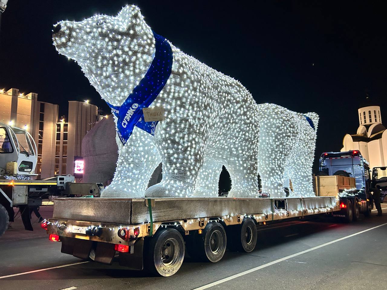 Сегодня в Курган прибыли белые медведи СУЭНКО Сегодня в Курган прибыли белые медведи СУЭНКО