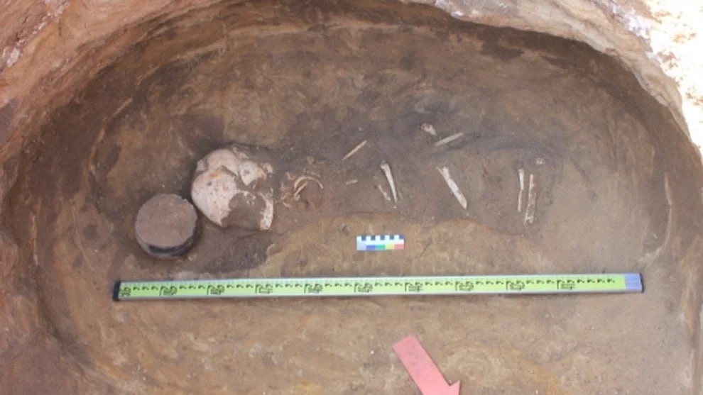 В Воронежской области обнаружили два погребения эпохи бронзы В Воронежской области обнаружили два погребения эпохи бронзы