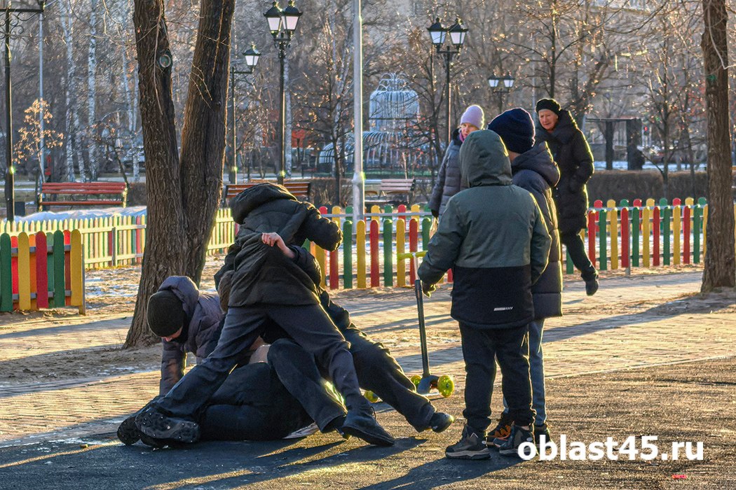 В Кургане 6 декабря ожидается мягкая зима: без осадков, но с гололёдом