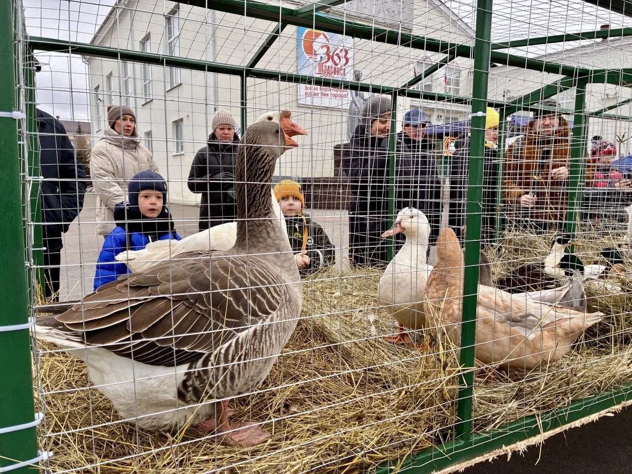 Шадринцы попали в эпоху Екатерины II и стали участниками кулинарного шоу Шадринцы попали в эпоху Екатерины II и стали участниками кулинарного шоу