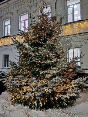 Жители Куртамышского округа уже начали наряжать свои дома и учреждения, создавая праздничную атмосферу