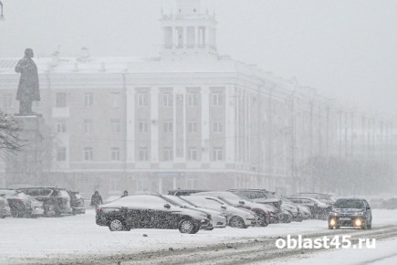 В Кургане водителям с малым опытом вождения предлагают пересесть на автобусы