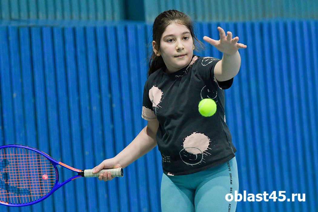 Теннис, падел и адаптивный спорт: на что решили выделить деньги курганские власти