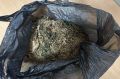 В Шатровском округе сотрудники полиции изъяли у гражданина более двухсот граммов каннабиса