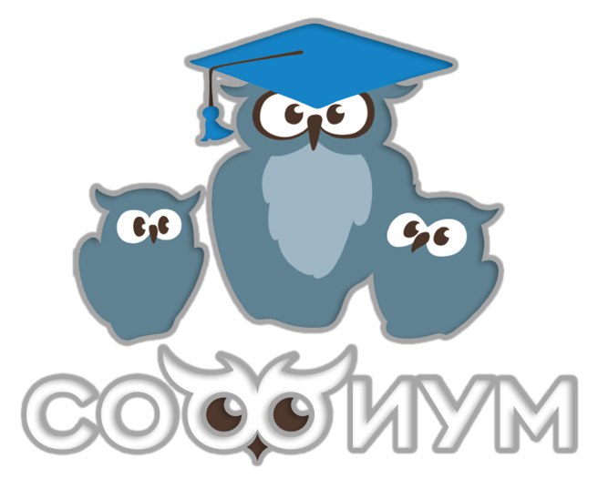 Во втором туре регионального этапа Всероссийской олимпиады старшеклассников по избирательному праву «Софиум» принимают участие четыре школьника из Курганской области