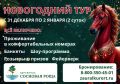 Здравница «Сосновая роща» приглашает встречать Новый 2026 год незабываемо: в тёплой атмосфере уюта, живой природы и заботы о здоровье!
