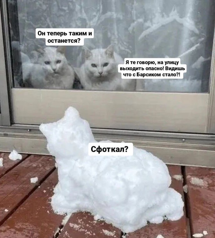 Следующие морозы придут в Курганскую область на следующей неделе