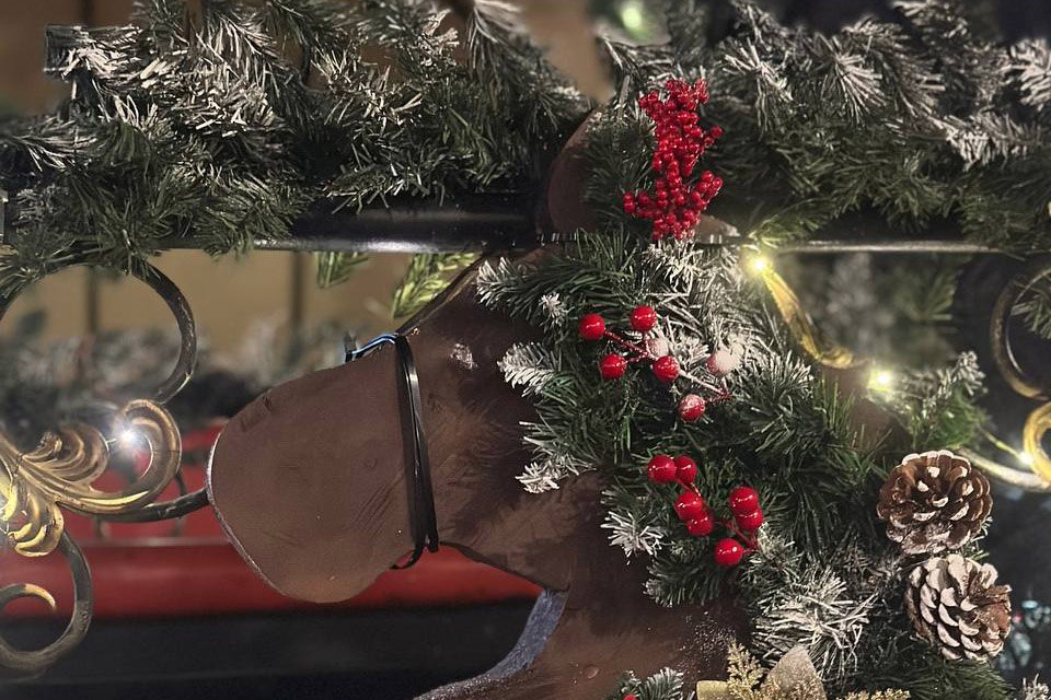 В Кургане продолжается второй этап городского конкурса на лучшее оформление объектов торговли и общественного питания под названием «Новогодний калейдоскоп» В Кургане продолжается второй этап городского конкурса на лучшее оформление объектов торговли и общественного питания под названием «Новогодний калейдоскоп»