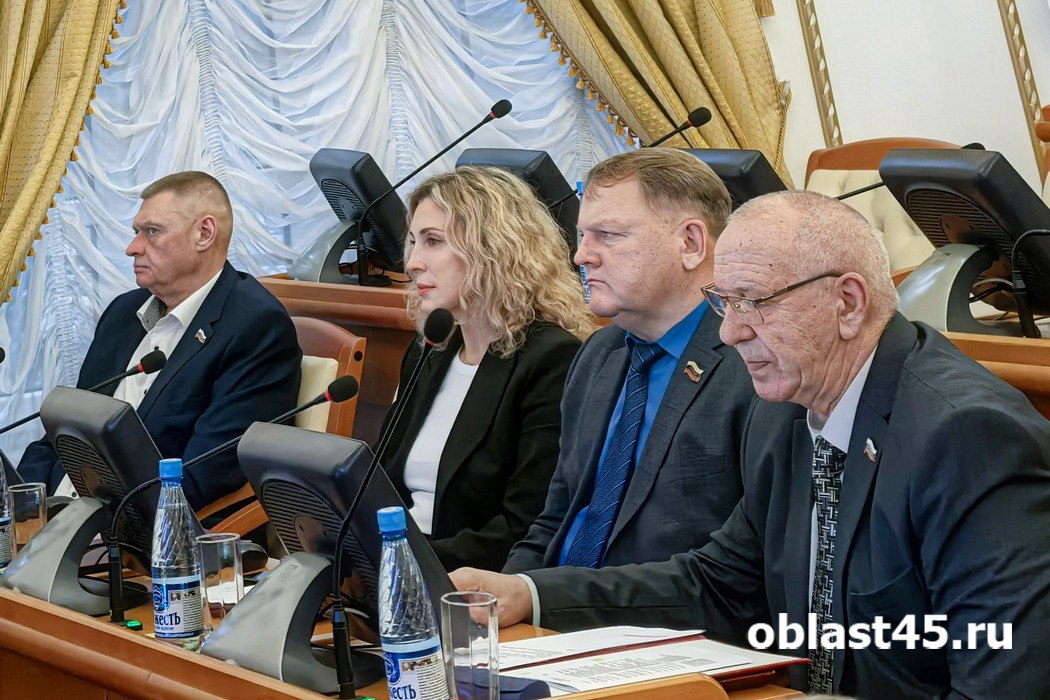 В курганской облдуме обсудили «Семьеведение», бюджет и госпрограмму «Чистая вода»