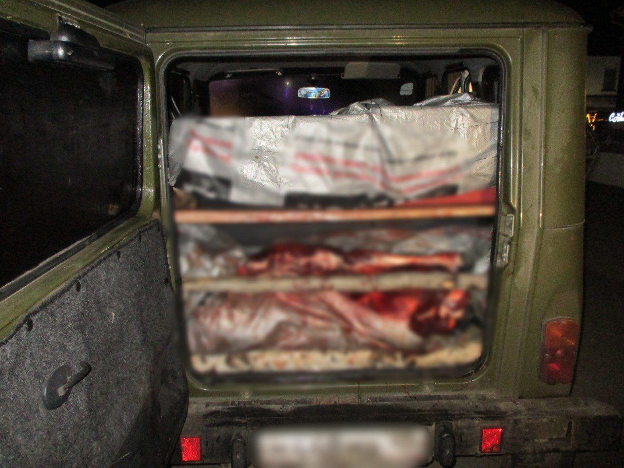 В Каргапольском округе местный житель устроил для товарищей охоту на лося