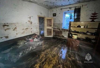 В Курганской области пенсионер погиб в пожаре в собственном доме