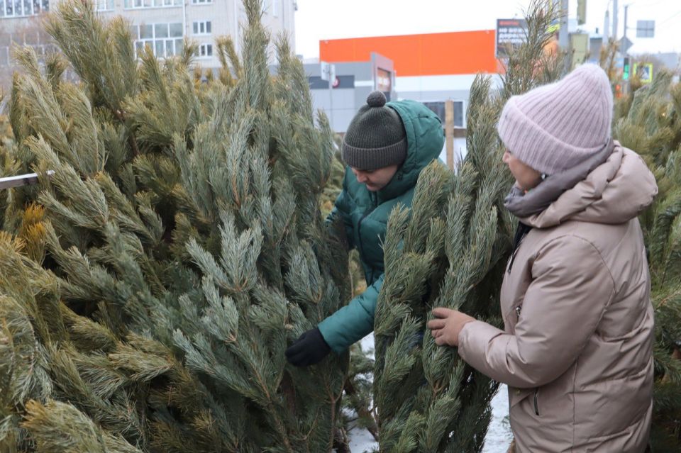 � ������� � 15 ������� �������� �������������� �������� ������