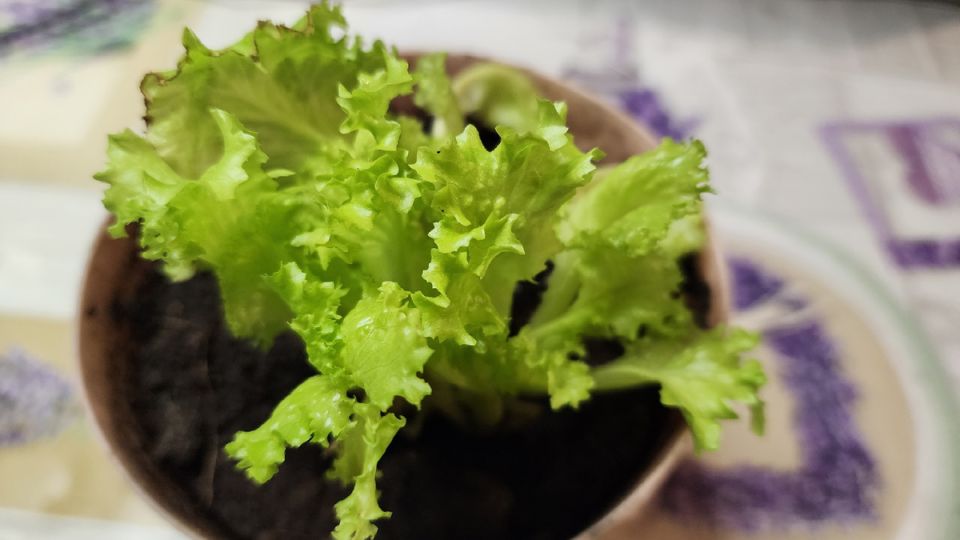 ��� ��������� ������ ������ � ������ ����: 5 ����� ������� ���������