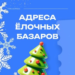Ёлки начали продавать в Кургане со вчерашнего дня