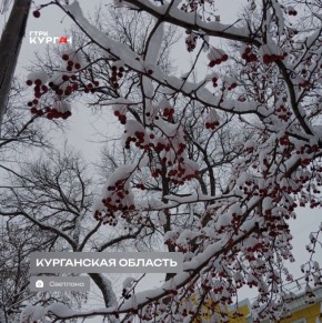 ������ ����, ���������!. ������� � ������� ���� ���� ����� ���� ����