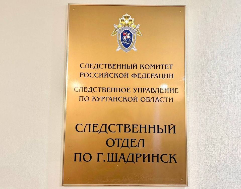 18 декабря текущего года в ходе мониторинга средств массовой информации обнаружены сведения о том, что в городе Шадринске многодетная мать пожаловалась на то, что в школе сверстники обижают и оскорбляют ее...