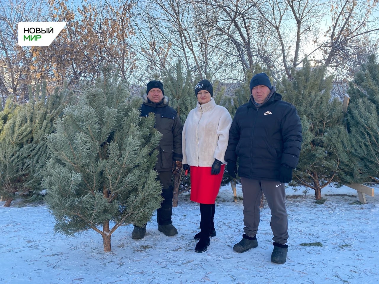 С оттенками от серебристого до голубого, высокие и маленькие, пышные и не очень, но главное — от души