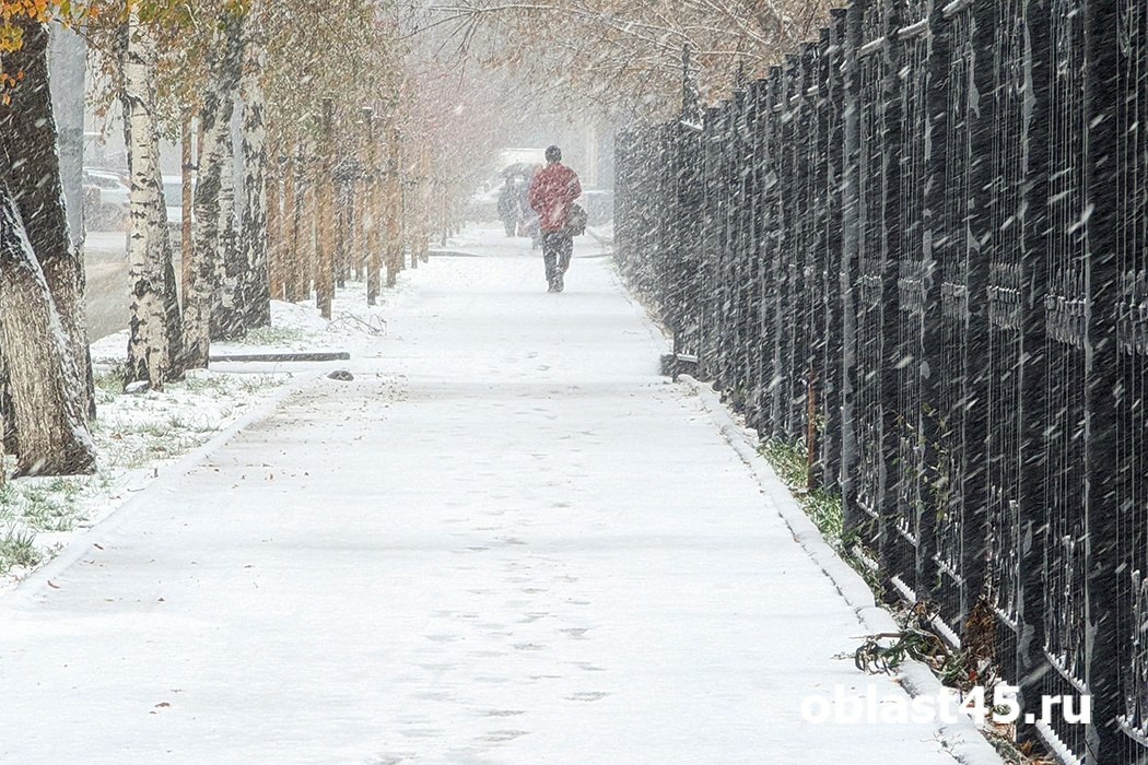 Курганскую область накрывает непогода с метелью и гололедицей