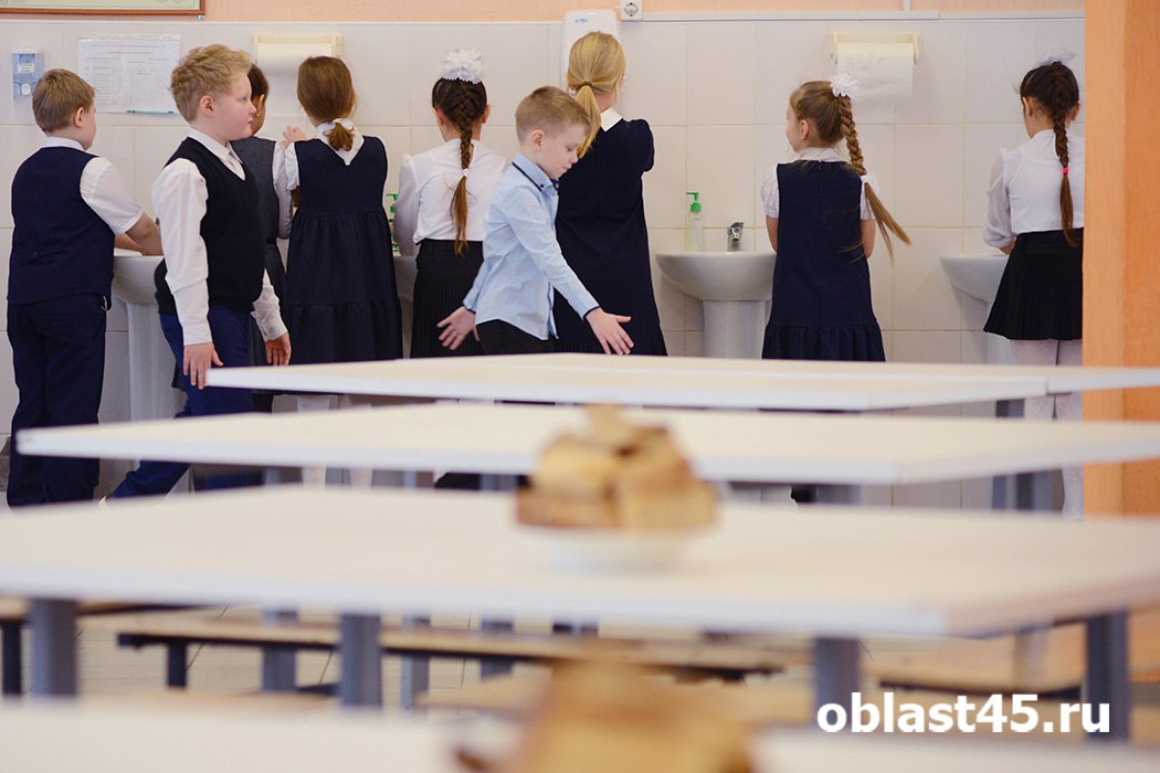 Курганские школы ожидают масштабные рейды по проверке питания