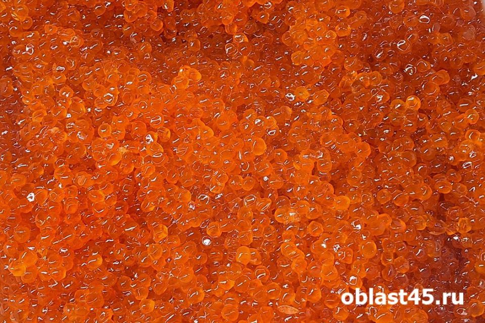 � ����� ��� �� ������ ��������� ����� ������ ���������� ���� � ����