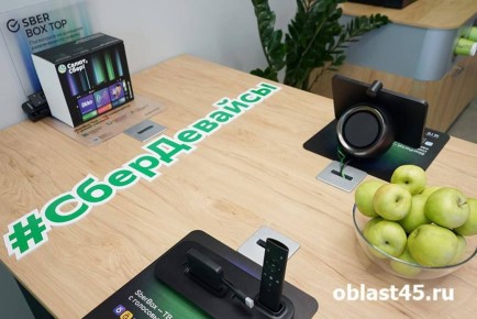 Жительница Кургана получила телевизор за 1 рубль от Сбера