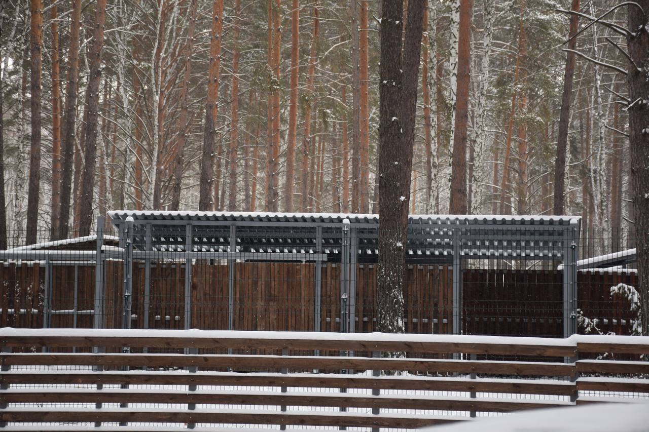 Антон Науменко: Заехали в натурпарк в Рябково Антон Науменко: Заехали в натурпарк в Рябково