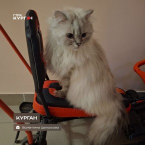 ������ ����, ���������!. ������� � ������� ������� ��������� ������