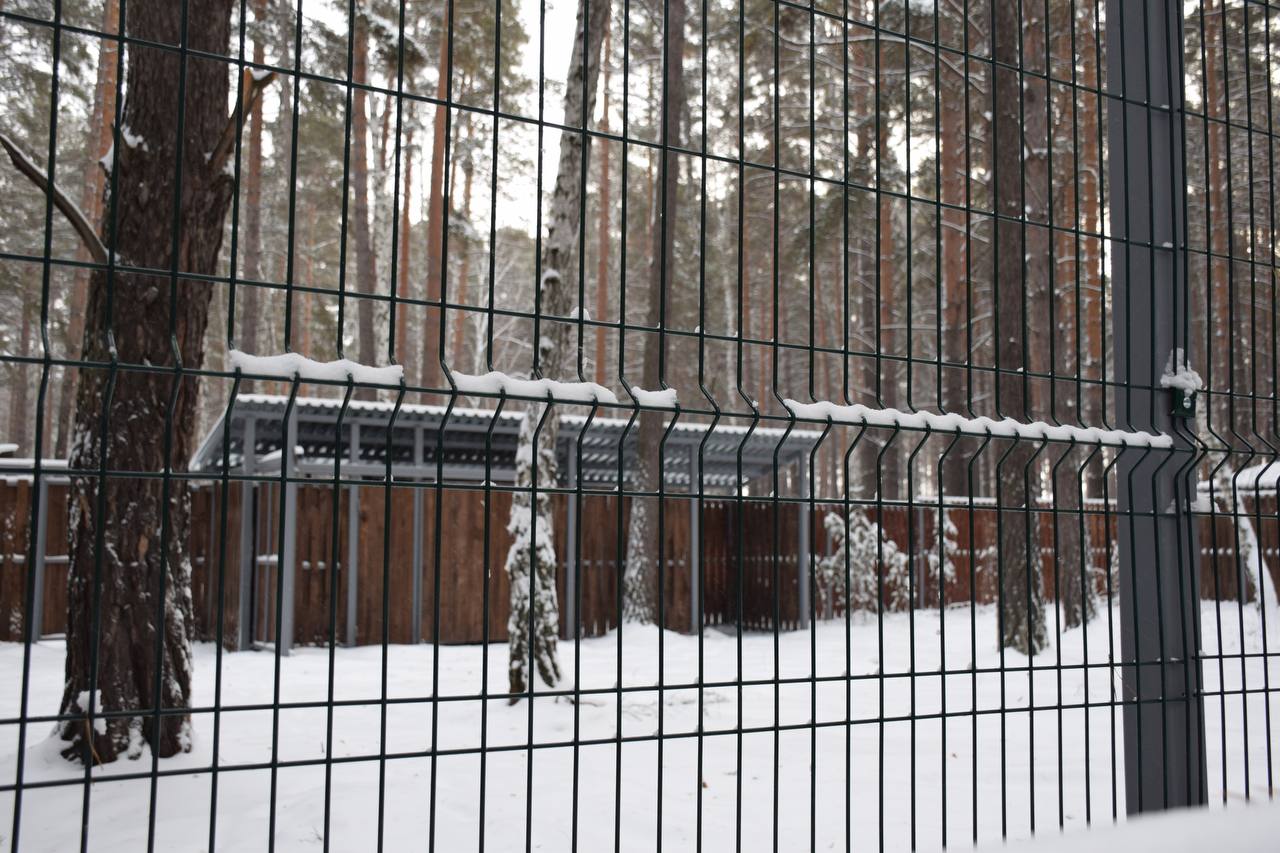Антон Науменко: Заехали в натурпарк в Рябково Антон Науменко: Заехали в натурпарк в Рябково