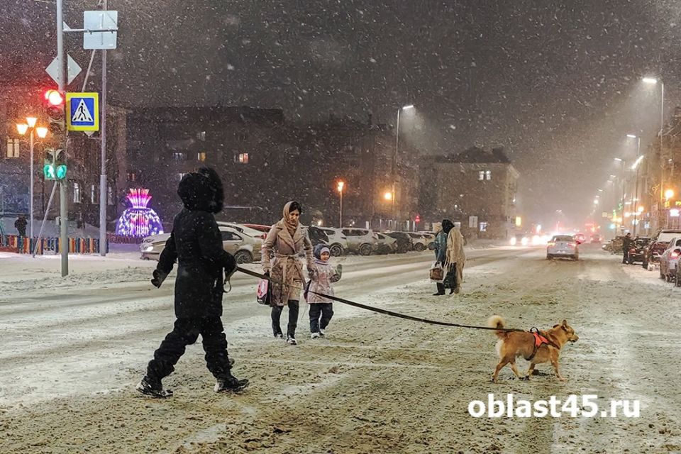 «Все про это забывают»: курганский инструктор автошколы о нюансах вождения зимой