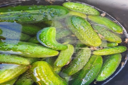 ������ � ������� ��������� �������� � ����� ���: ������� �������� � �����