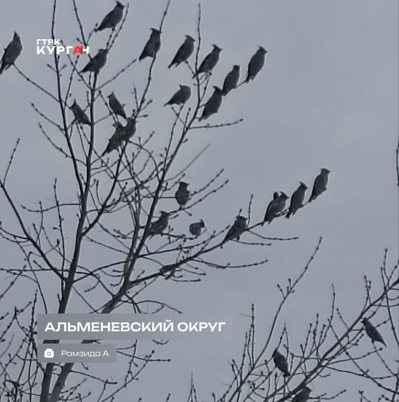 Доброе утро, зауральцы! С началом новой недели!