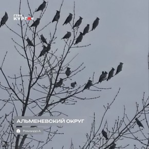 ������ ����, ���������! � ������� ����� ������!