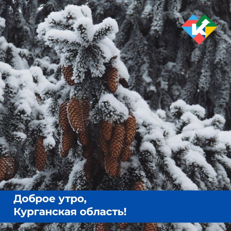 ������ ����, ���������� �������!