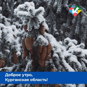 ������ ����, ���������� �������!