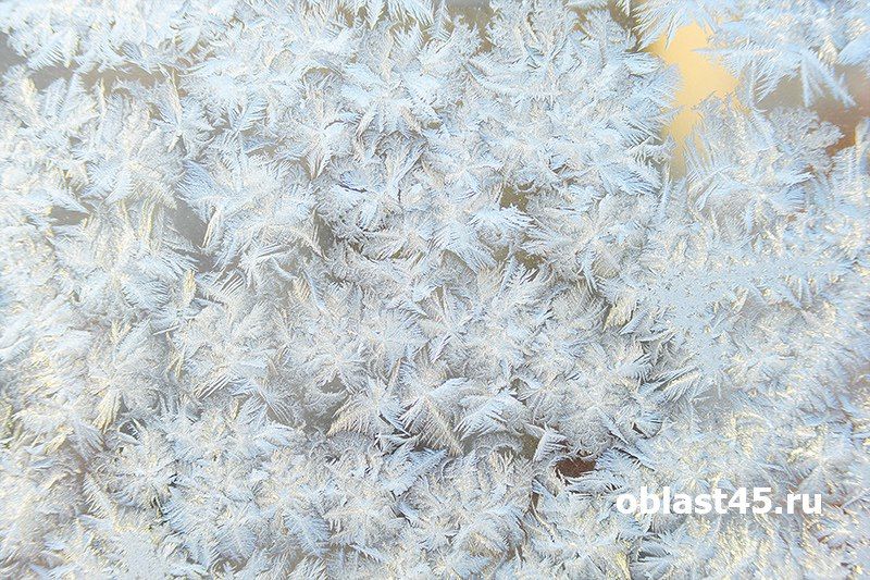 -7 �������� � ��������� ����: ������ � ������� �� 23 �������