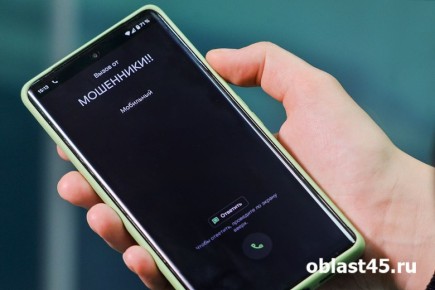 10 млн за неделю: зауральцев продолжают обманывать мошенники