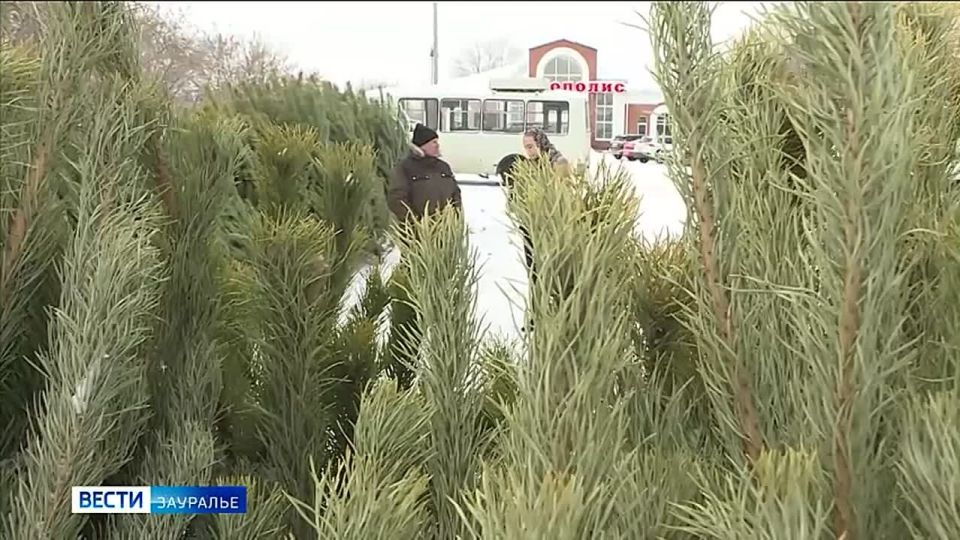 ���������� ���� ������ �������� ����� ������ � ��������� ���