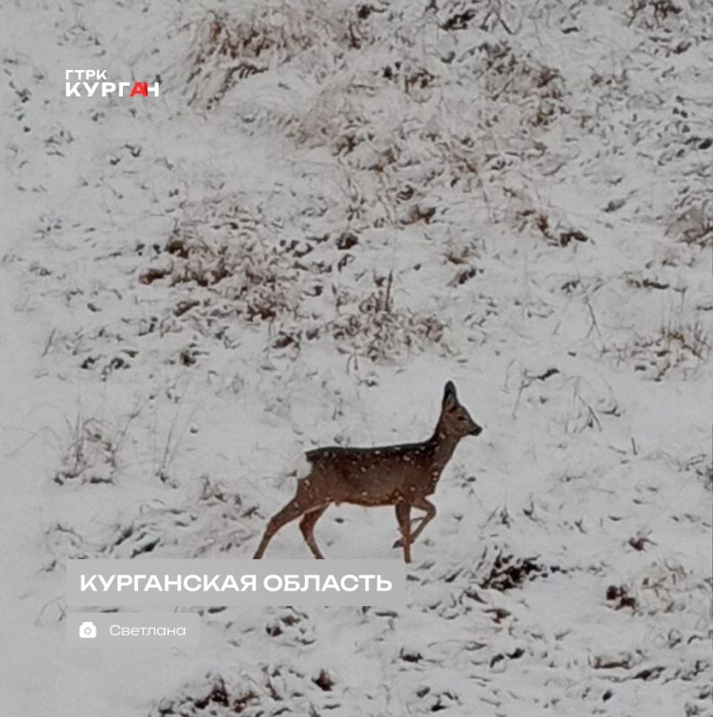 ������ ����, ���������!. ������� ���� � ������� ������� ��������� ����