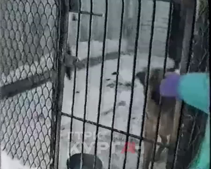 ������, 90-�: � ��������� ��� ����������� � ������������� ��������� ������