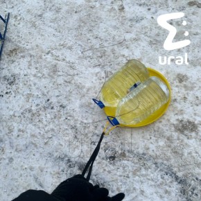 ��������� ����� ��� ���� ����� ������ ���� ������������ �������