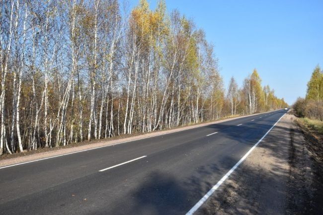 2025 год стал продуктивным для дорожников, в том числе зауральских