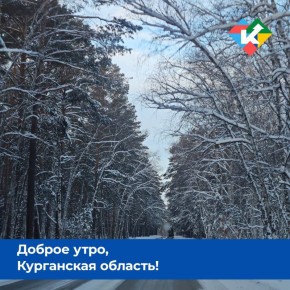 ������ ����, ���������� �������!