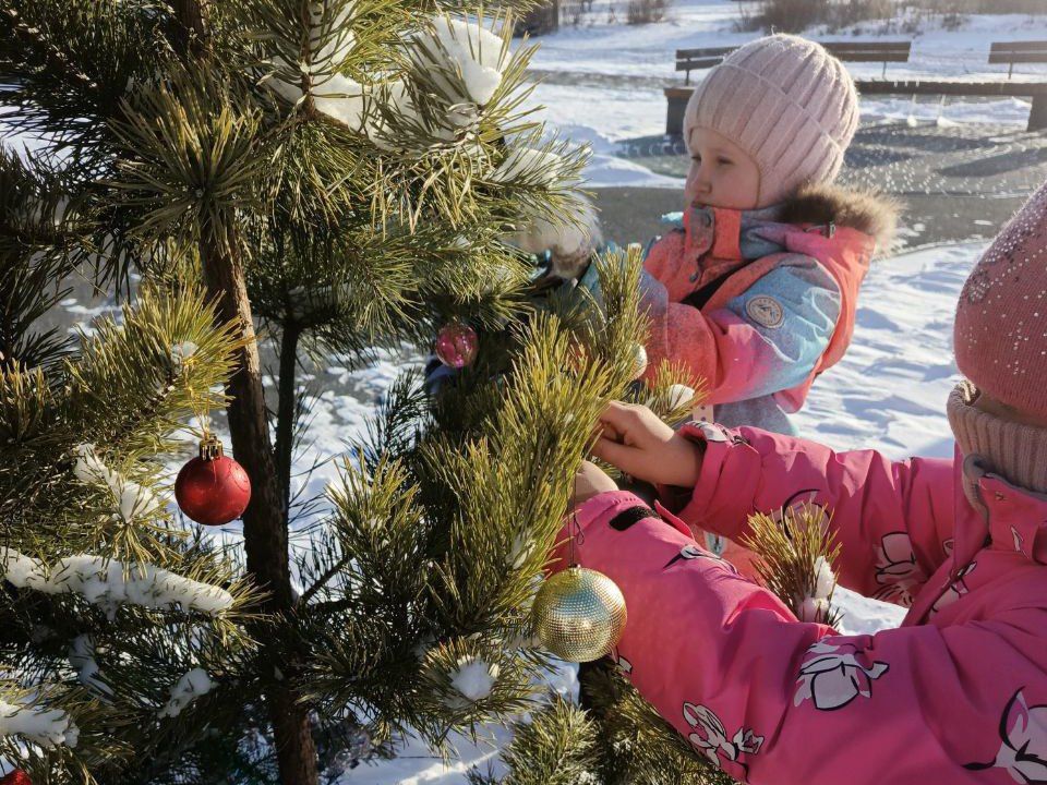 ��������������� ������������ �������������� ��������� � ������ ����