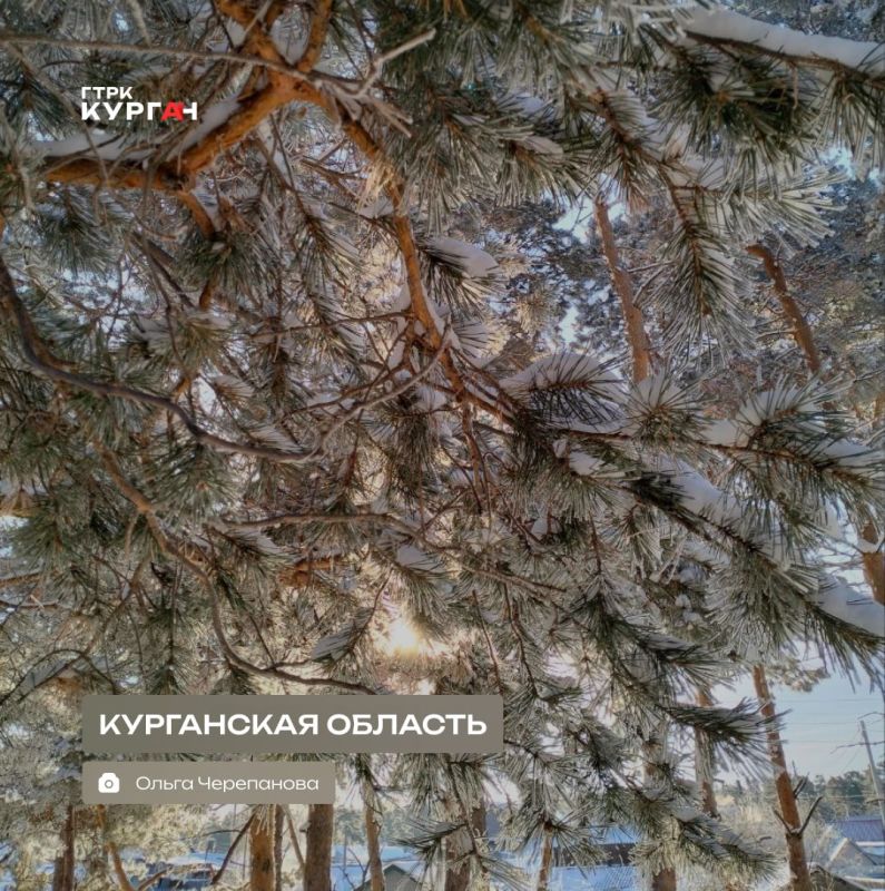 ������ ����, ���������!. ������� � ������� ����� ��������� ������