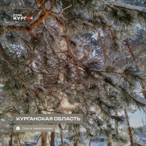 ������ ����, ���������!. ������� � ������� ����� ��������� ������