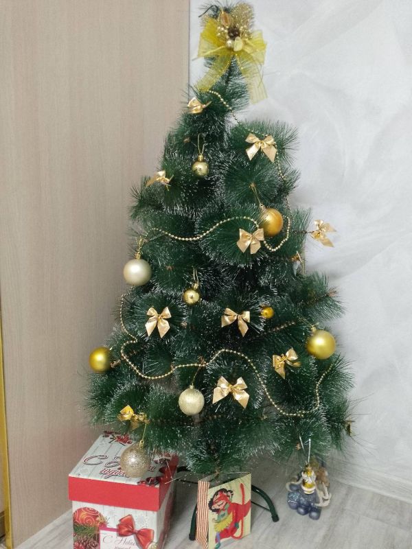 ���������� ���� ������ �������� ���������� ���� � ���������� ���� � ����