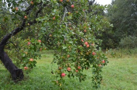 ��� ����������� ������ � ����� ��� ��������� ������