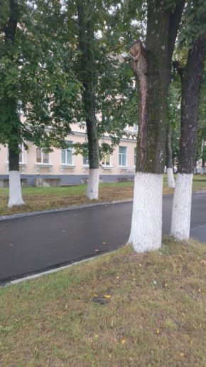 ��� ������������� � �������� ������� �������� ����